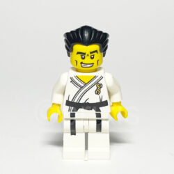 LEGO Collectible Minifigur Karate Master (COL030) – Vorderansicht