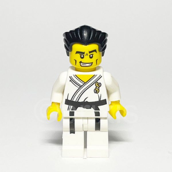 LEGO Collectible Karate Master Minifigure COL030