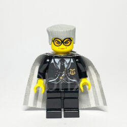 LEGO Harry Potter Minifigur Madam Rolanda Hooch (HP021) – Vorderansicht