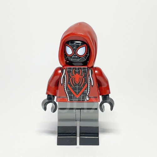 LEGO Super Heroes Spider-Man Minifigure SH0679