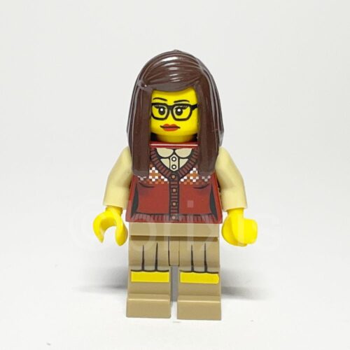 LEGO Collectible Librarian Minifigure COL145
