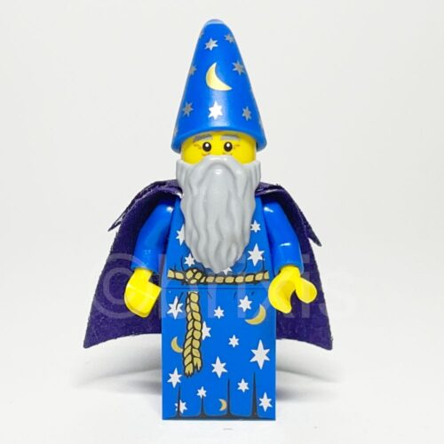 LEGO Collectible Wizard Minifigure COL179