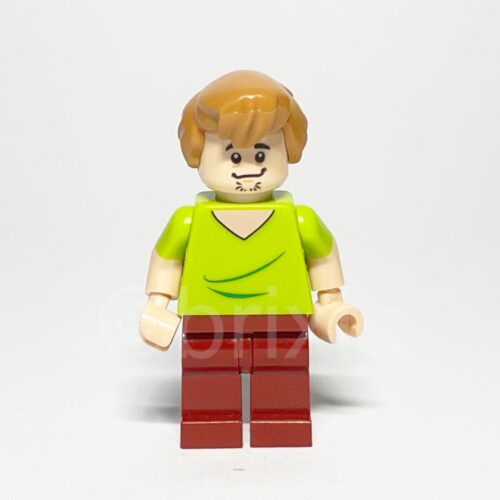 LEGO Scooby-Doo Shaggy Rogers Minifigure SCD001