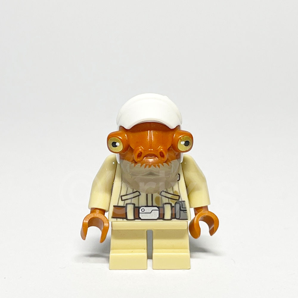 LEGO Star Wars Minifigur Quarrie (SW0843) gebraucht - LEGO Star Wars Quarrie Minifigure SW0843 LEGO Star Wars Minifigur Quarrie (SW0843) – Vorderansicht