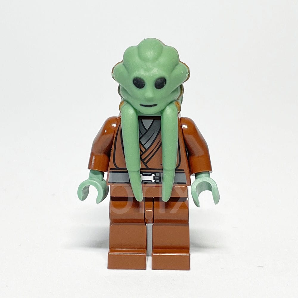 LEGO Star Wars Minifigur Kit Fisto (SW0163) gebraucht - LEGO Star Wars Kit Fisto Minifigure SW0163 LEGO Star Wars Minifigur Kit Fisto (SW0163) – Vorderansicht